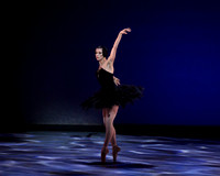 Olga Pavlova_The Dying Swan-3854