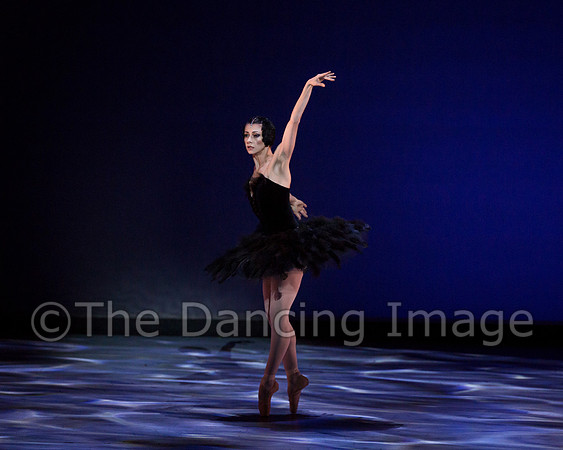 Olga Pavlova_The Dying Swan-3854