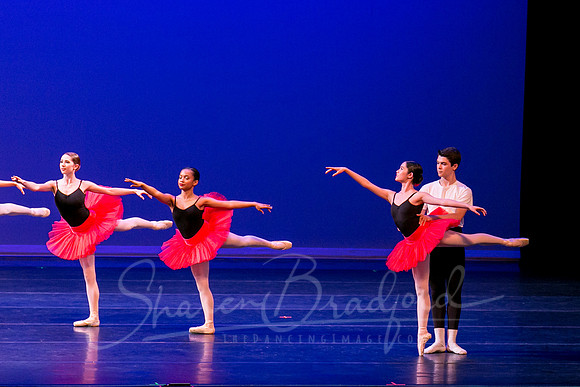 Paquita-0153