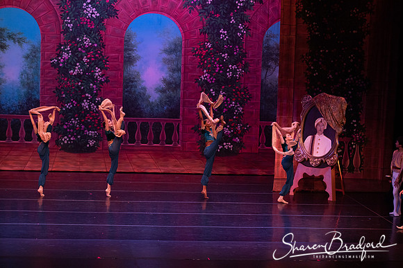 TDC La Bayadere pc Sharen Bradford-2719