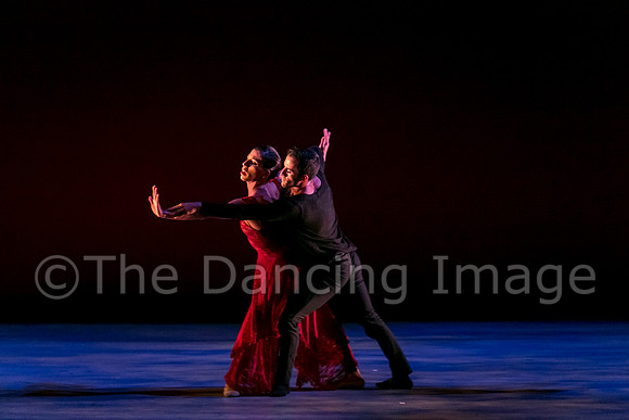 Chado Danse-2851