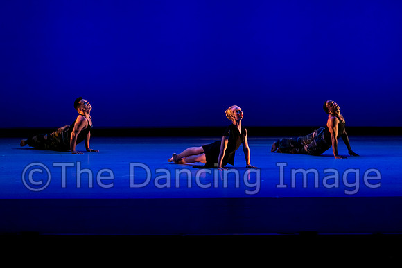 DBDT II-0790