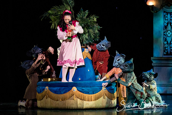 Nutcracker matinee pc Sharen Bradford-4747