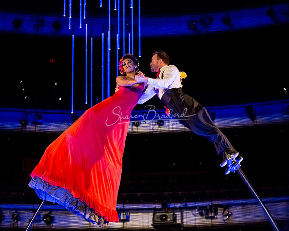 Swoon pc Sharen Bradford-8801