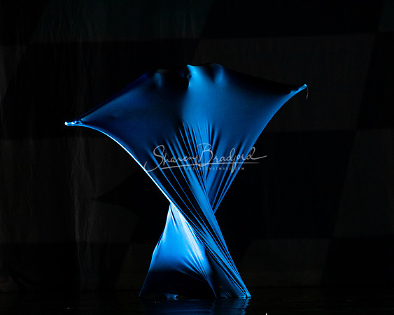 MOMIX Alice pc Sharen Bradford-1048