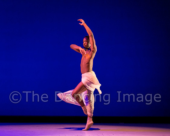 Jared Brown-4841