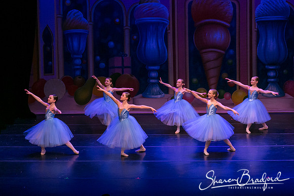 Waltz of the Flowers pc Sharen Bradford-1806
