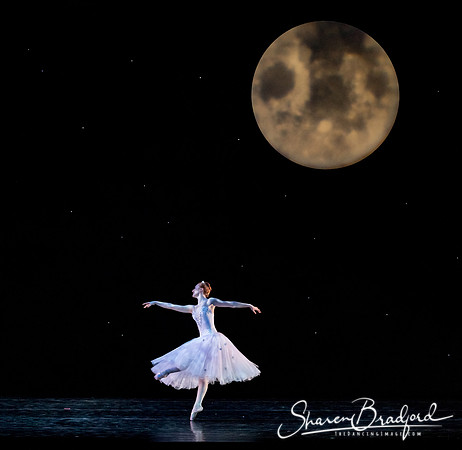 Nutcracker matinee pc Sharen Bradford-5144