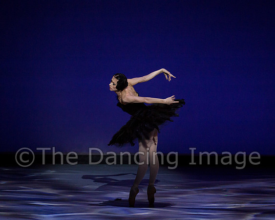 Olga Pavlova_The Dying Swan-3928