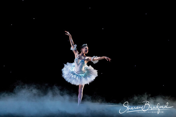 ASFB Nutcracker pc Sharen Bradford-0030