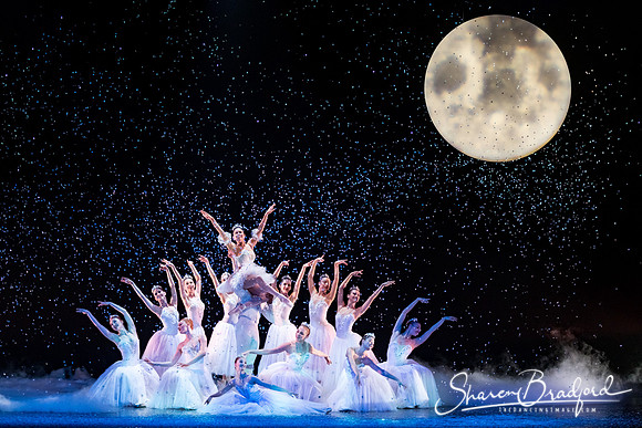 Nutcracker matinee pc Sharen Bradford-5271