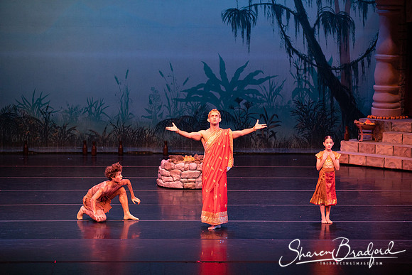 TDC La Bayadere pc Sharen Bradford-2421