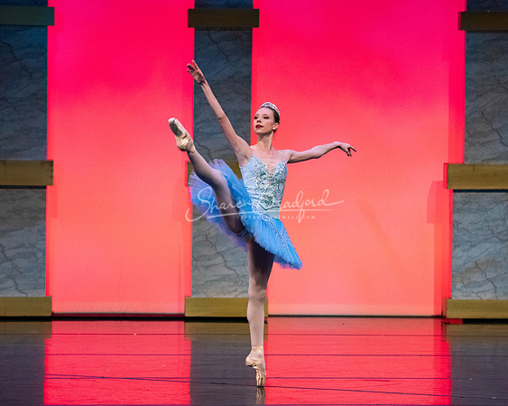Ballet NTX Sleeping Beauty pc Sharen Bradford-0136