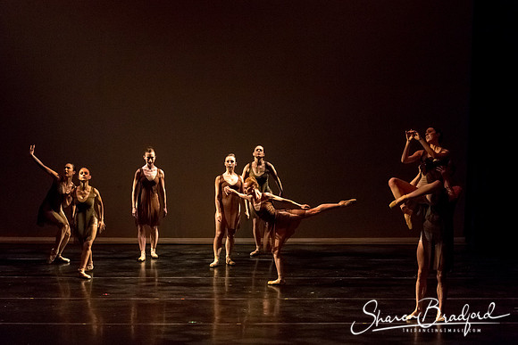 Ballet Dallas Seasons pc Sharen Bradford-1386