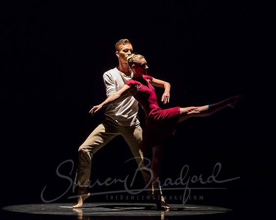 Falling Light pc Sharen Bradford-0554