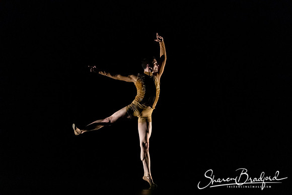 ASFB Beautiful Decay pc Sharen Bradford-2239