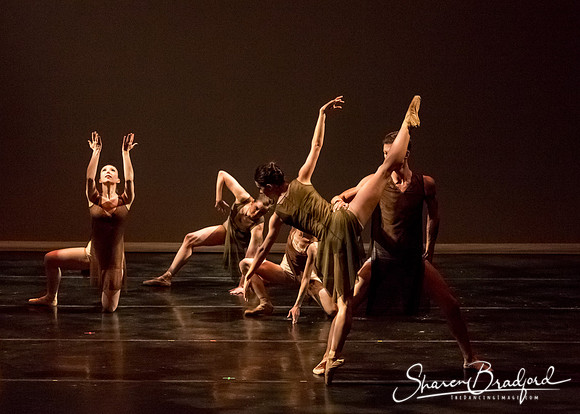 Ballet Dallas Seasons pc Sharen Bradford-1404