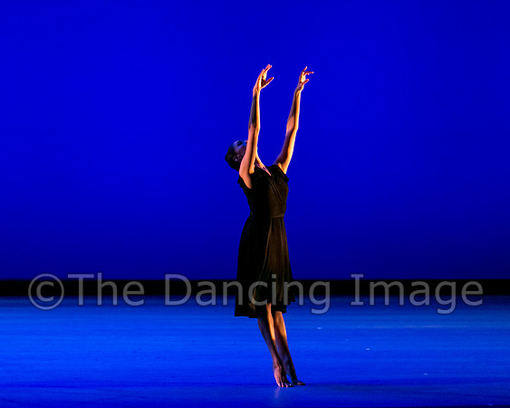 DBDT II-0799