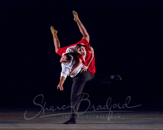 Volver - pc Sharen Bradford-3843