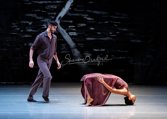 BWDD Wayfarers Song 11-15-24 pc Sharen Bradford-2981