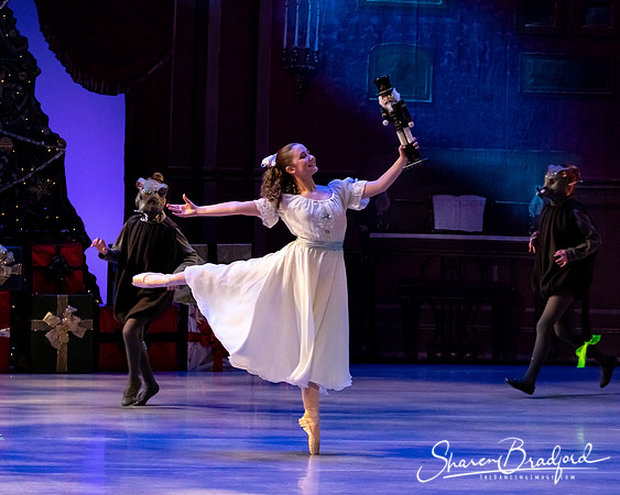 CCBT Nutcracker 19 pc Sharen Bradford-4414
