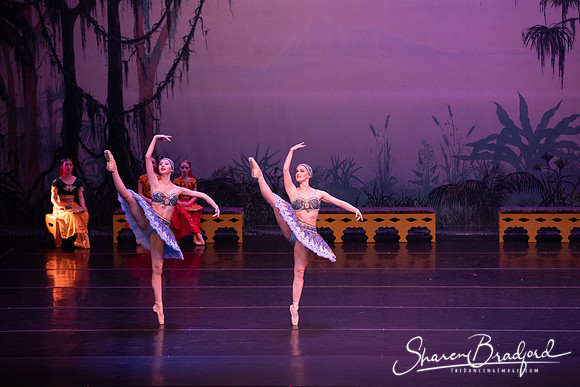 TDC La Bayadere pc Sharen Bradford-3059