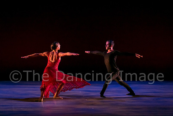 Chado Danse-2940