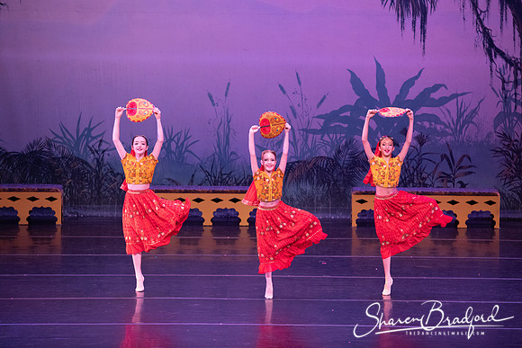 TDC La Bayadere pc Sharen Bradford-2902