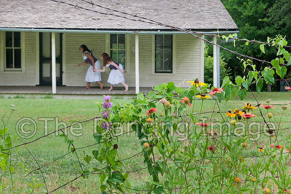 Penn Farm-0893