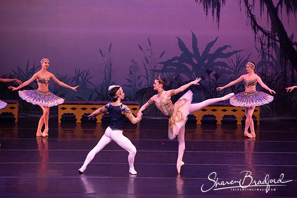 TDC La Bayadere pc Sharen Bradford-3134