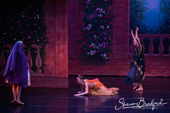 TDC La Bayadere pc Sharen Bradford-2836