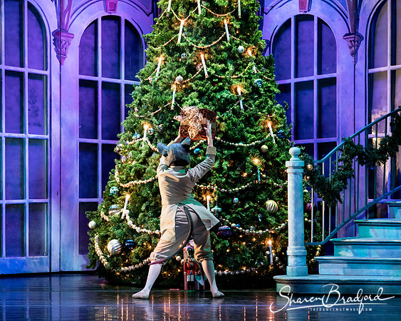Nutcracker matinee pc Sharen Bradford-4662