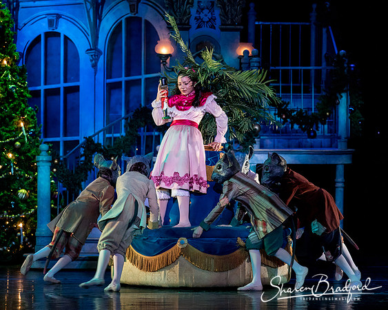 Nutcracker matinee pc Sharen Bradford-4717