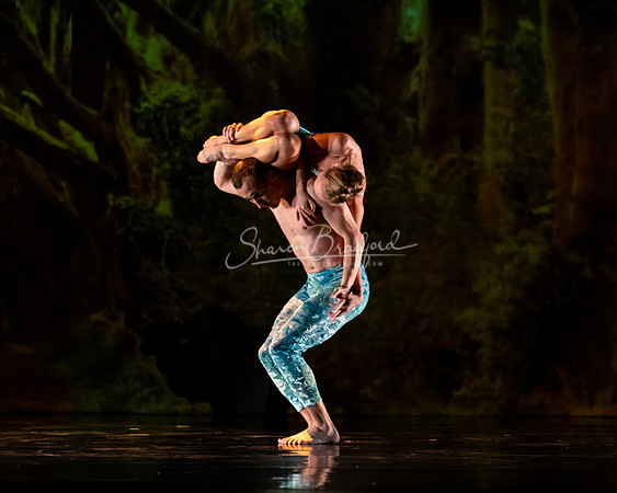 MOMIX Alice pc Sharen Bradford-0852