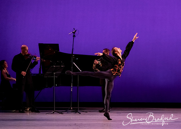 Brahms Trio pc Sharen Bradford-0375