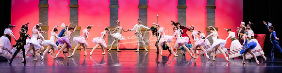 Ballet NTX Sleeping Beauty pc Sharen Bradford-1672