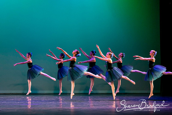 Khachaturian Waltz pc Sharen Bradford-3684