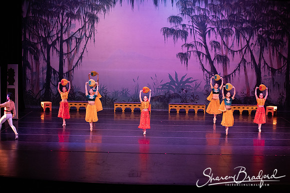 TDC La Bayadere pc Sharen Bradford-2859