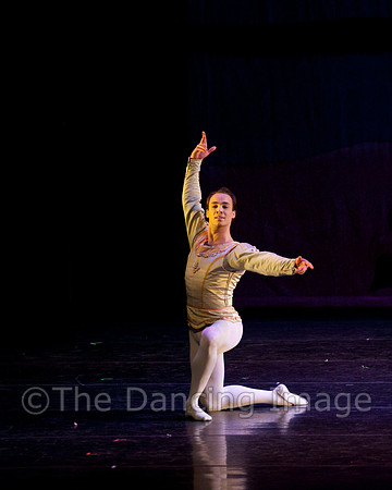 CPA Sun 2011-4038