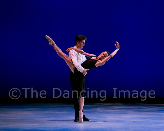 Avant Chamber Ballet DDF-3181