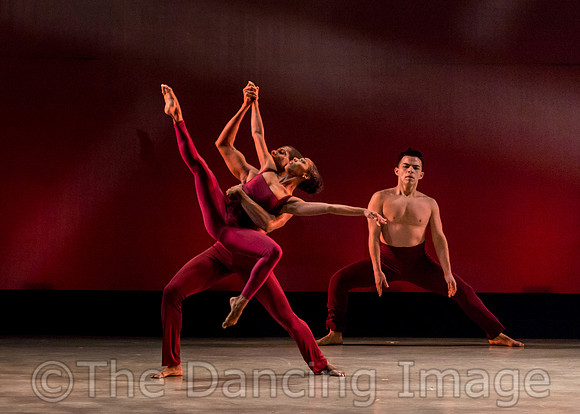 DBDT Encore-8768