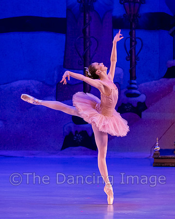 1Q3A2370