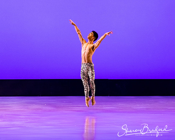 Ballet 37 pc Sharen Bradford-0318