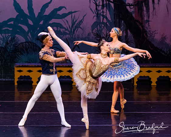 TDC La Bayadere pc Sharen Bradford-3188