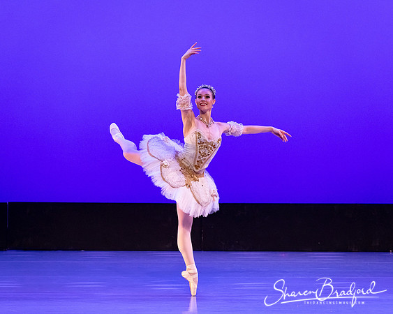 TBT Sleeping Beauty Pas pc Sharen Bradford-1517
