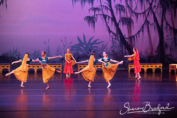 TDC La Bayadere pc Sharen Bradford-2880
