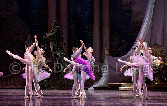 TB Sleeping Beauty Wed.-0107