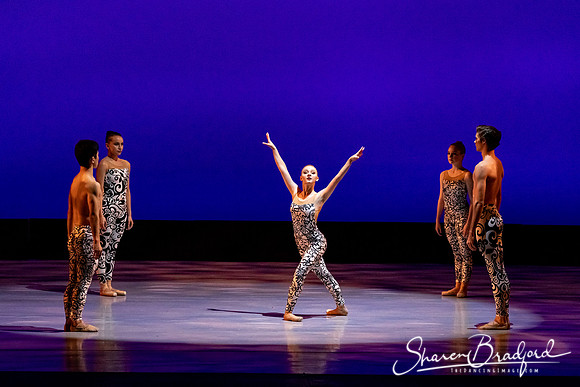 Ballet 37 pc Sharen Bradford-0532