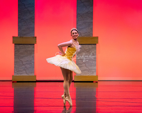 Ballet NTX Sleeping Beauty pc Sharen Bradford-0204