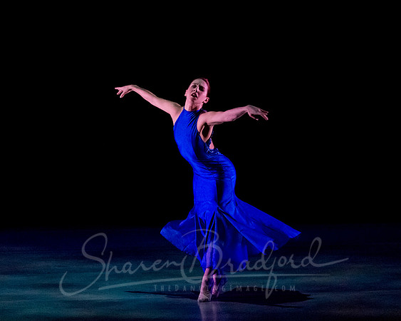 Following Echoes - pc Sharen Bradford-3184